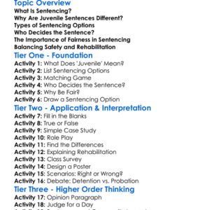 Sentencing Options For Juveniles Worksheet Activity Booklet