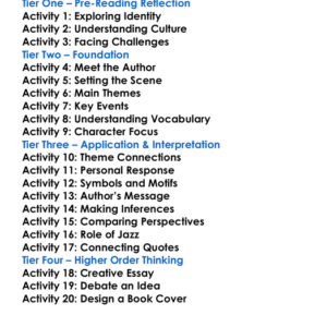 Shadow And Act Ralph Ellison Worksheet Activity Booklet