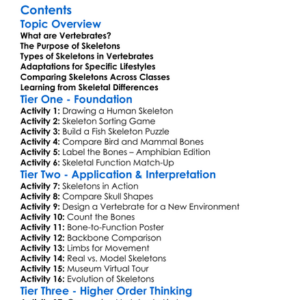 Skeletal Differences Among Vertebrates Worksheet Activity Booklet