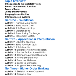 Skeletal System Bones And Joints Worksheet Activity Booklet