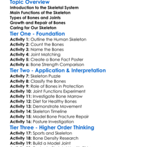 Skeletal System In Humans Worksheet Activity Booklet