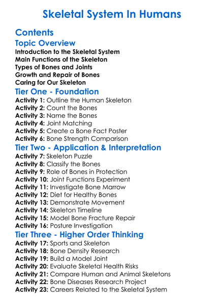 Skeletal System In Humans Worksheet Activity Booklet