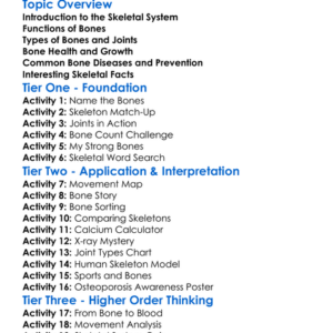 Skeletal System Worksheet Activity Booklet