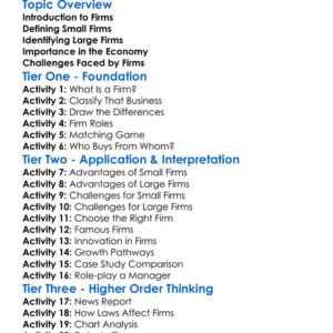 Small And Large Firms Worksheet Activity Booklet