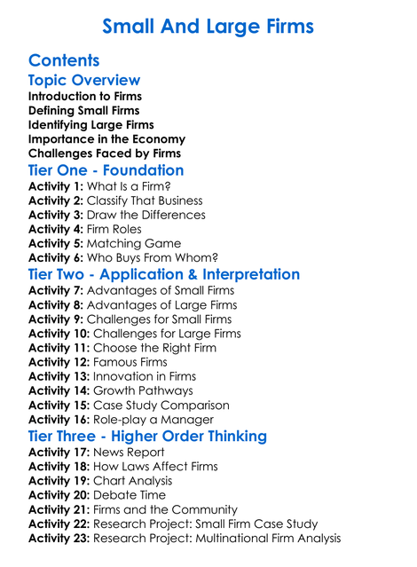 Small And Large Firms Worksheet Activity Booklet