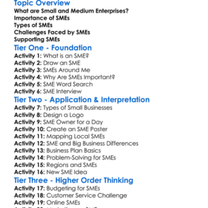 Small And Medium Enterprises Worksheet Activity Booklet