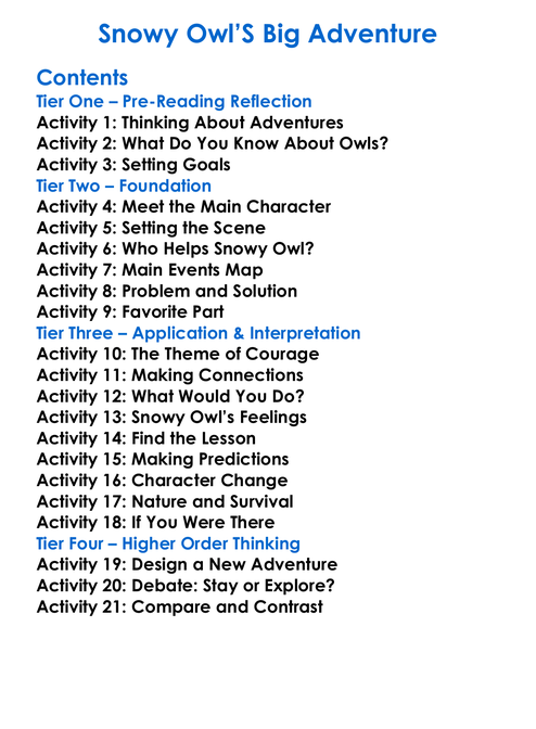 Snowy Owls Big Adventure Worksheet Activity Booklet