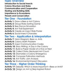 Social Insects Bees And Ants Worksheet Activity Booklet
