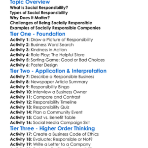 Social Responsibility In Business Worksheet Activity Booklet