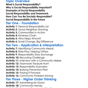 Social Responsibility In Communities Worksheet Activity Booklet