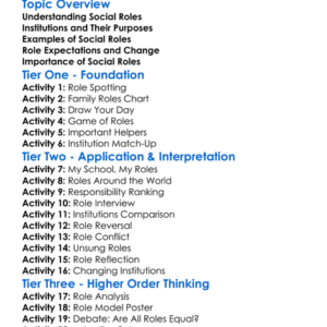 Social Roles In Institutions Worksheet Activity Booklet