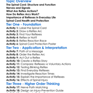 Spinal Cord And Reflex Actions Worksheet Activity Booklet