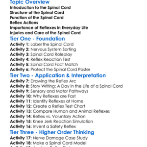 Spinal Cord And Reflexes Worksheet Activity Booklet