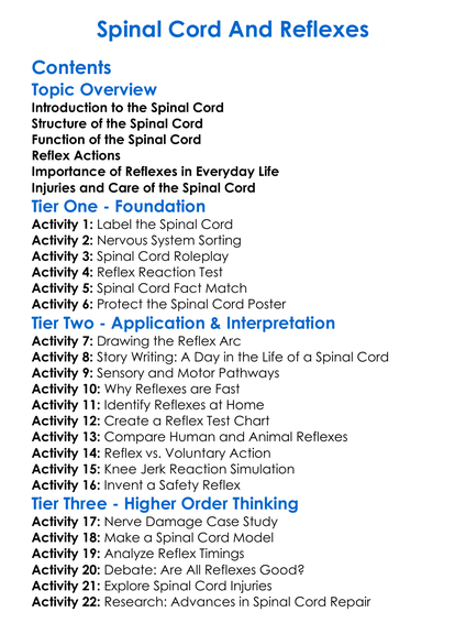 Spinal Cord And Reflexes Worksheet Activity Booklet