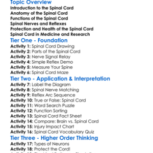 Spinal Cord Structure And Function Worksheet Activity Booklet