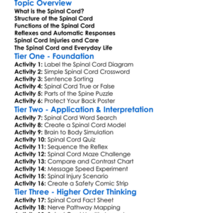 Spinal Cord Worksheet Activity Booklet
