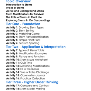 Stem Types And Modifications Worksheet Activity Booklet
