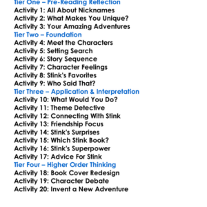 Stink Series Megan Mcdonald Worksheet Activity Booklet