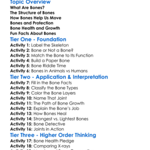 Structure And Function Of Bones Worksheet Activity Booklet