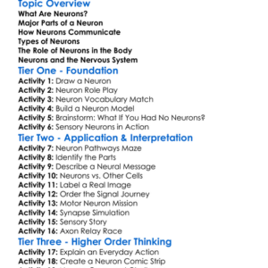Structure And Function Of Neurons Worksheet Activity Booklet