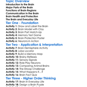Structure And Function Of The Brain Worksheet Activity Booklet