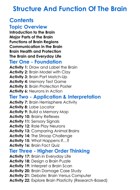 Structure And Function Of The Brain Worksheet Activity Booklet