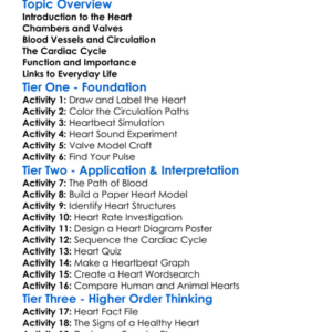 Structure And Function Of The Heart Worksheet Activity Booklet