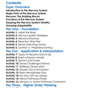 Structure And Function Of The Nervous System Worksheet Activity Booklet