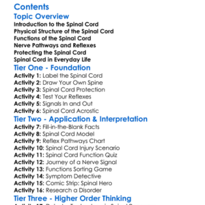 Structure And Function Of The Spinal Cord Worksheet Activity Booklet
