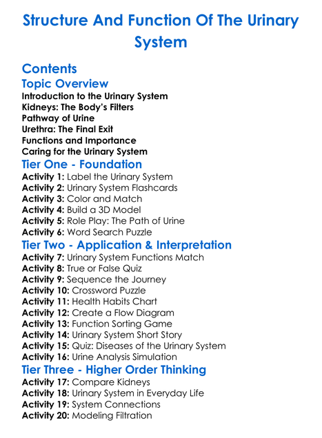 Structure And Function Of The Urinary System Worksheet Activity Booklet
