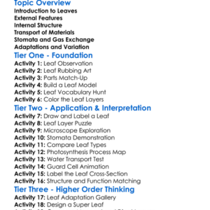 Structure Of A Leaf Worksheet Activity Booklet