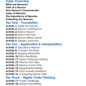 Structure Of Neurons Worksheet Activity Booklet
