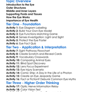 Structure Of The Eye Worksheet Activity Booklet