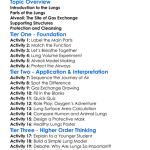 Structure Of The Lungs Worksheet Activity Booklet