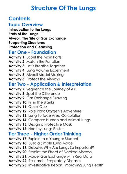 Structure Of The Lungs Worksheet Activity Booklet