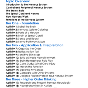 Structure Of The Nervous System Worksheet Activity Booklet