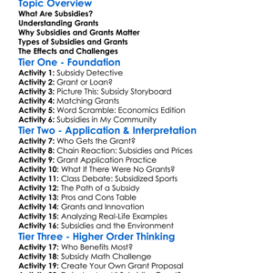 Subsidies And Grants Worksheet Activity Booklet