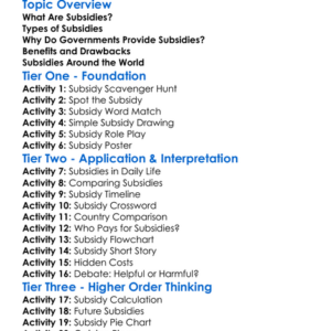 Subsidies Worksheet Activity Booklet