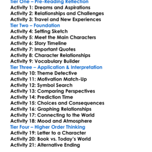 Tender Is The Night F Scott Fitzgerald Worksheet Activity Booklet