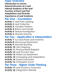 The Anatomy Of The Leaf Worksheet Activity Booklet