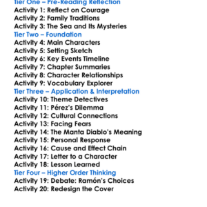 The Black Pearl Scott Odell Worksheet Activity Booklet