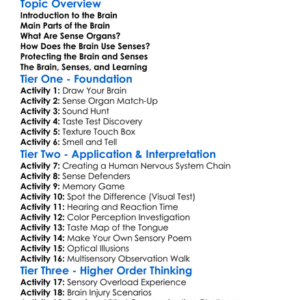 The Brain And Sense Organs Worksheet Activity Booklet