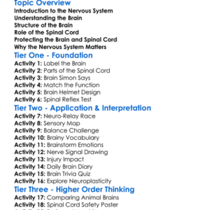 The Brain And Spinal Cord Worksheet Activity Booklet