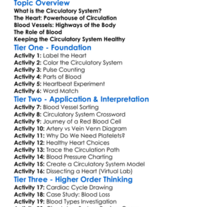 The Circulatory System In Humans Worksheet Activity Booklet