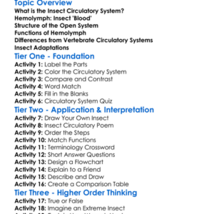 The Circulatory System In Insects Worksheet Activity Booklet