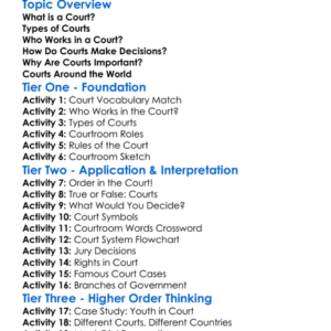 The Court System Worksheet Activity Booklet