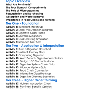 The Digestive Process In Ruminants Worksheet Activity Booklet
