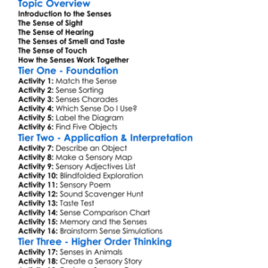 The Five Senses And Their Functions Worksheet Activity Booklet