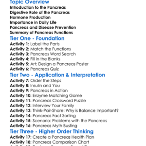 The Function Of The Pancreas Worksheet Activity Booklet