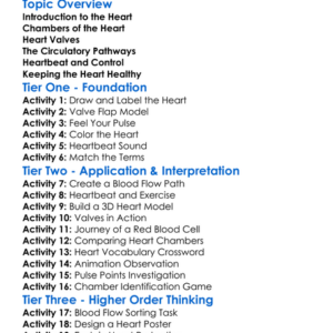The Heart Structure And Function Worksheet Activity Booklet